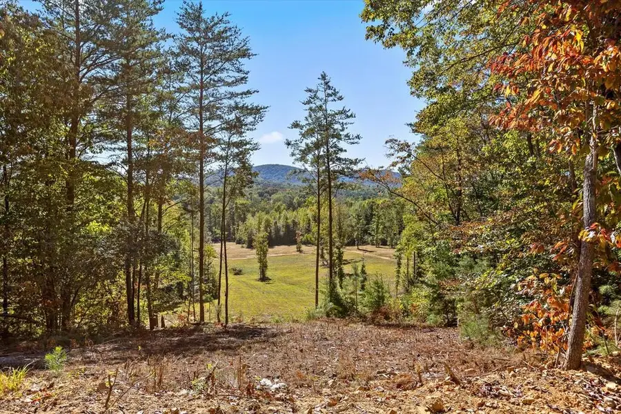 132 Turvey Nichols Road, Cisco, GA 30708 - #2