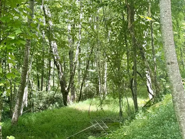 Lot 7 Wild Laurel, Brasstown, NC 28902