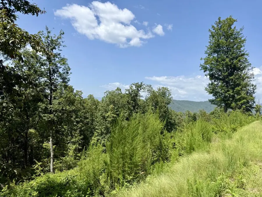 Lot 34 Grand Laurel, Brasstown, NC 28902 - #3