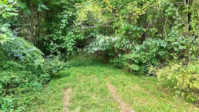 2.885 AC Us Hwy 76 W, Hiawassee, GA 30546 - #2