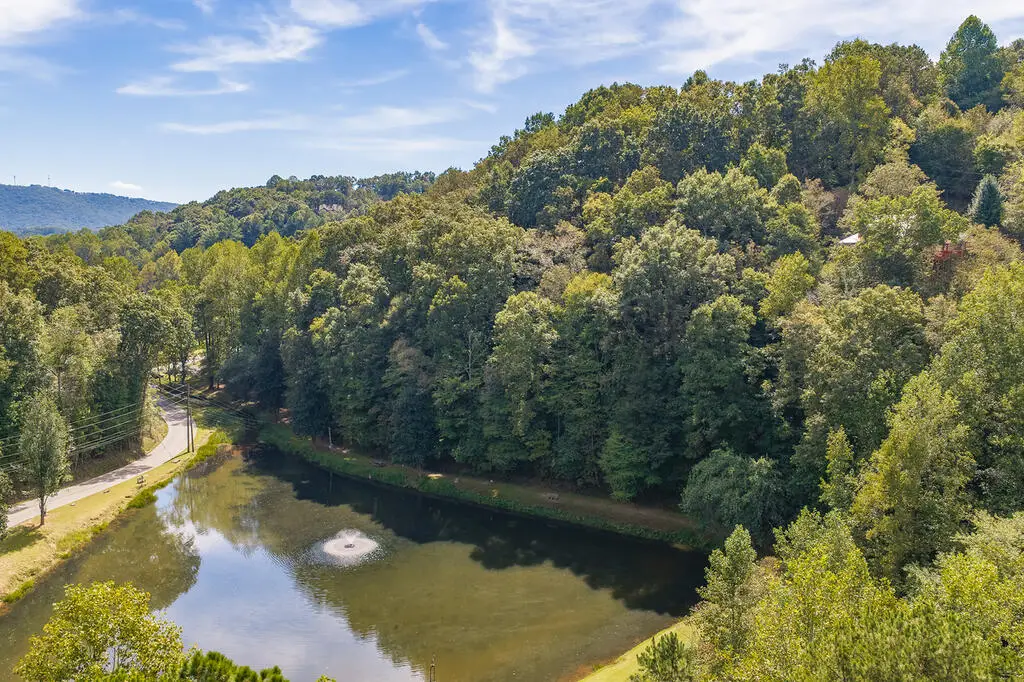 395/6 Summit Lane, Ellijay, GA 30540 - #1