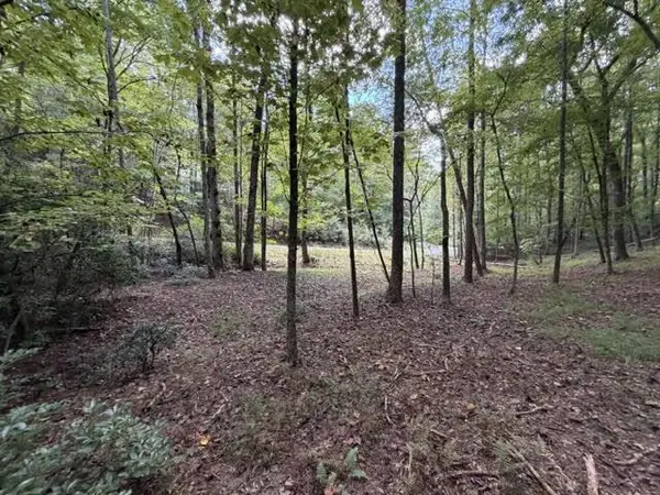 LOT 133 Seneca Drive, Ellijay, GA 30540