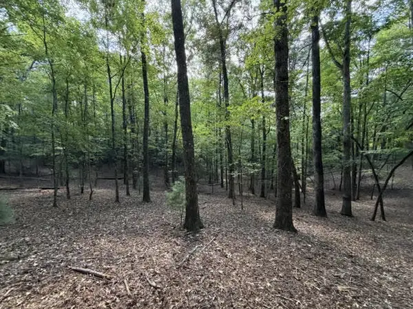 LOT 556 Satsuma Court, Ellijay, GA 30540