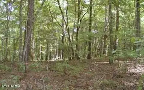 00 Panda Lane, Murphy, NC 28906 - #1
