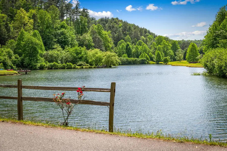 00 Valley Lake Trail, Mineral Bluff, GA 30559 - #3