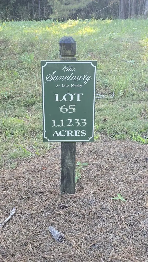 Lot 65 Brook Green Court, Blairsville, GA 30512 - #3