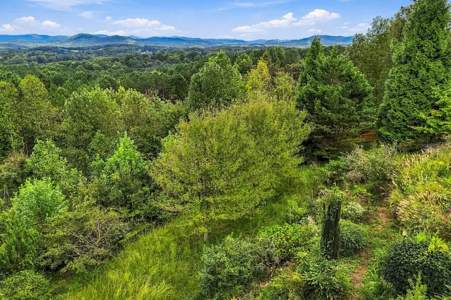 100 Fox Paw Leaf Court, Ellijay, GA 30536 - #3