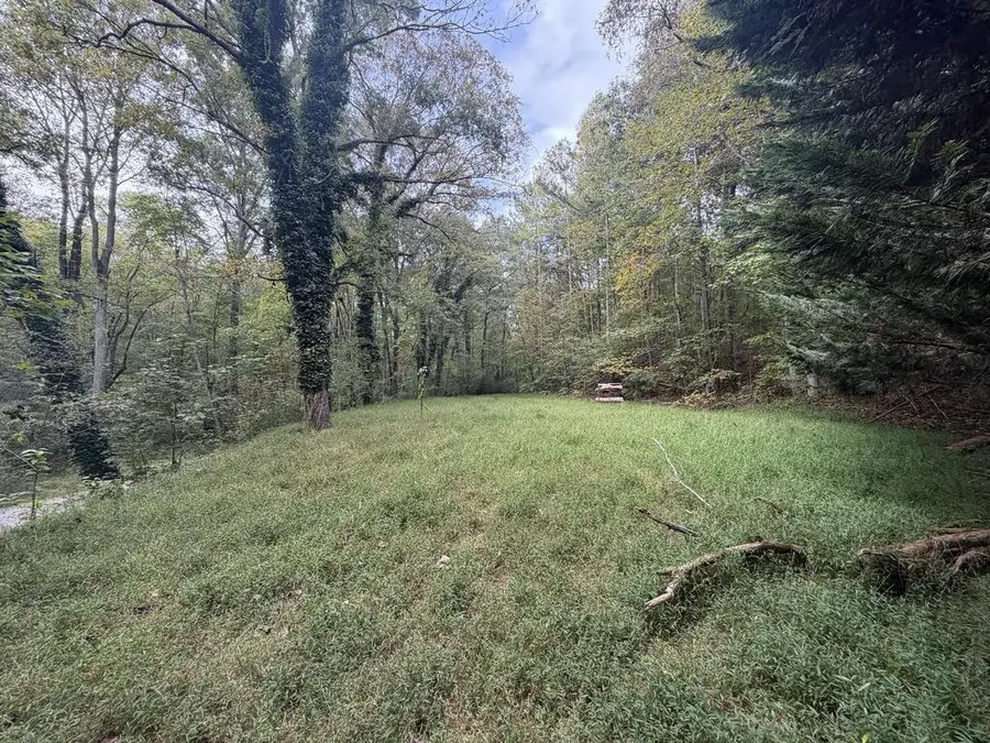 Tr 4 Ikes Circle, Ellijay, GA 30536 - #2