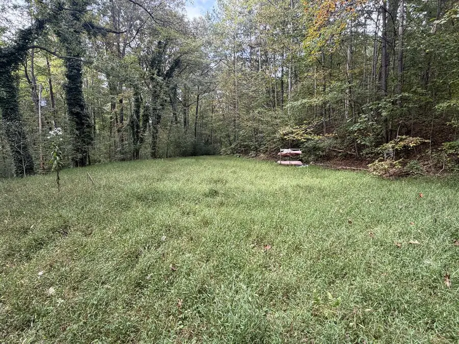 Tr 4 Ikes Circle, Ellijay, GA 30536 - #3