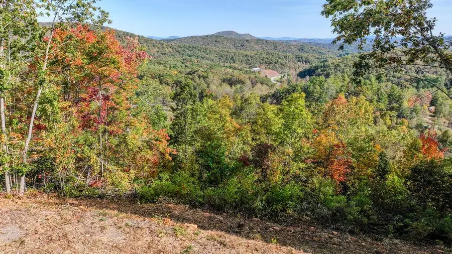 674 Warbler Road, Murphy, NC 28906 - #2