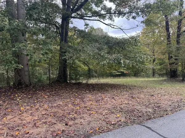 106 Smokerise Drive, Hayesville, NC 28904