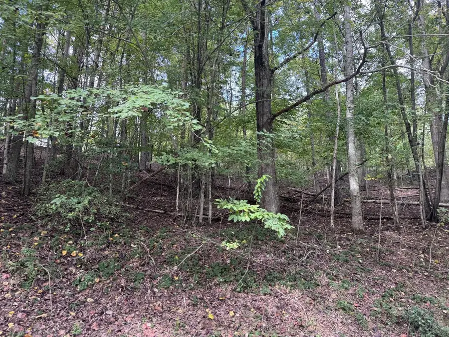 106 Smokerise Drive, Hayesville, NC 28904 - #2