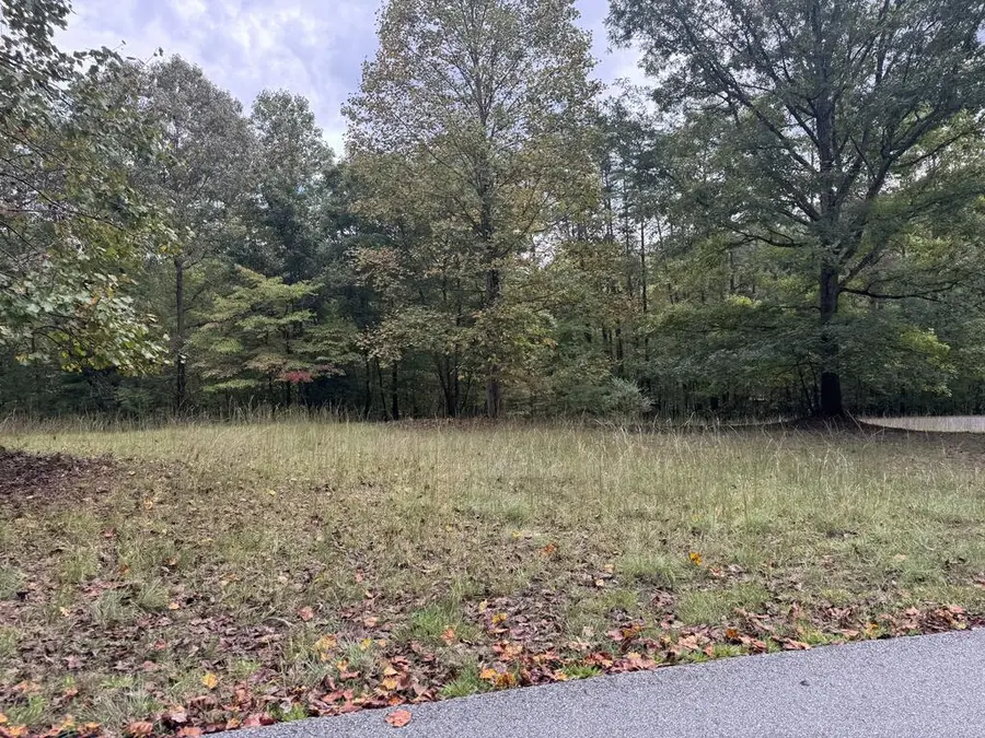 106 Smokerise Drive, Hayesville, NC 28904 - #3