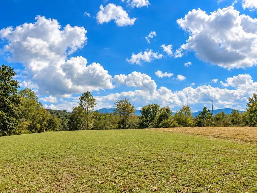 lt 45 Old Chicken Farm Rd, Young Harris, GA 30582 - #2