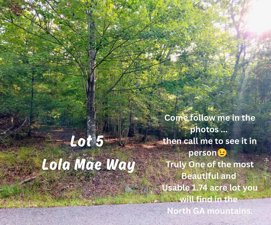 Lot 5 Lola Mae Way, Morganton, GA 30560 - #1