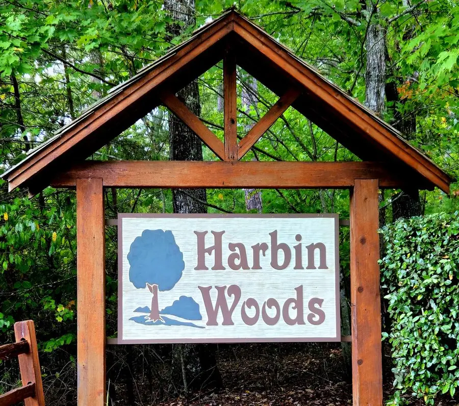 Lot 5 Lola Mae Way, Morganton, GA 30560 - #2