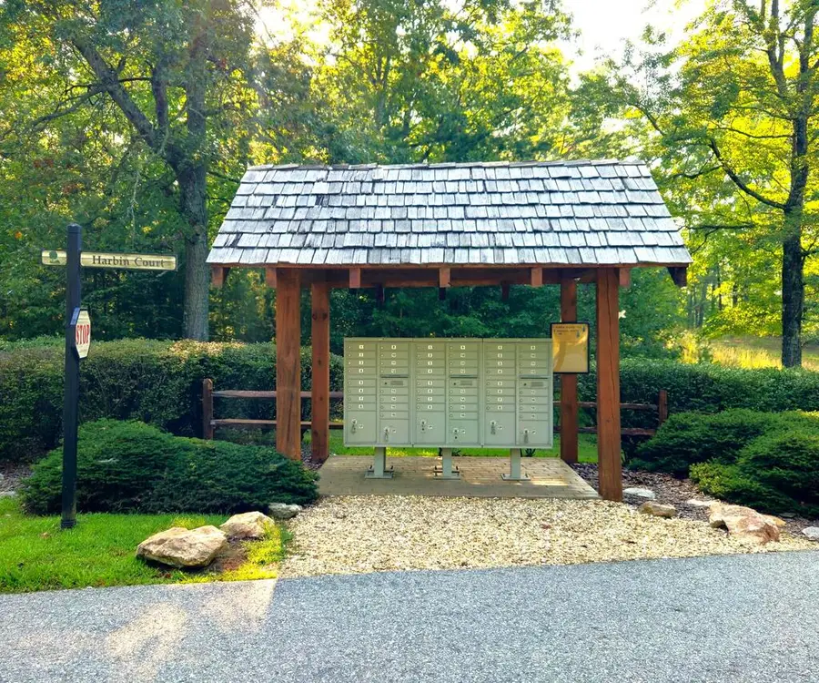 Lot 5 Lola Mae Way, Morganton, GA 30560 - #3