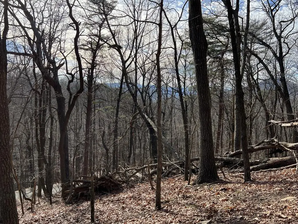 4528 Sassafras Mountain Trail, Jasper, GA 30143 - #1