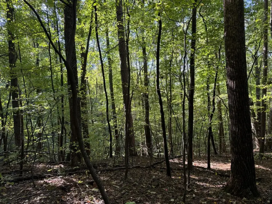 J349 Mountainview Court, Ellijay, GA 30540 - #2