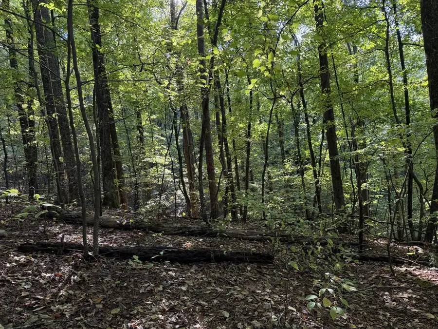J349 Mountainview Court, Ellijay, GA 30540 - #3