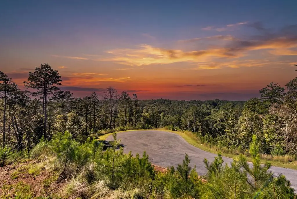 LT 267 River View Trail, Ellijay, GA 30540 - #1