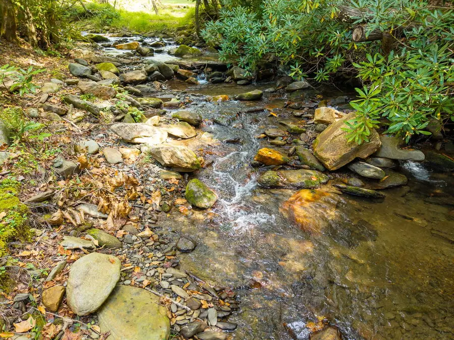 39 Crossover Lane, Hayesville, NC 28904 - #2