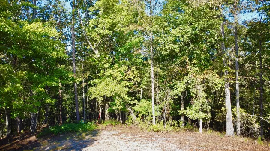 1719 Rebekah Ridge Road, Talking Rock, GA 30175 - #3