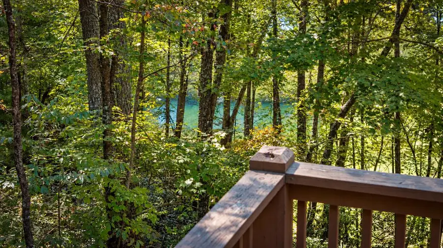 257 Pine Ridge Road, Ellijay, GA 30536 - #2