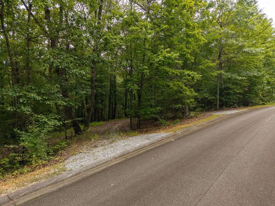 LOT 9-10 Abbott Mill Road, Ellijay, GA 30540 - #2