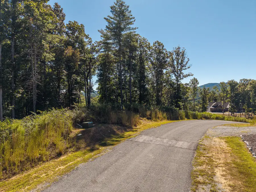 Lot 62 Ridge Drive, Blue Ridge, GA 30513 - #2