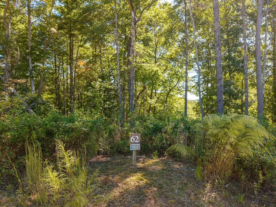 Lot 62 Ridge Drive, Blue Ridge, GA 30513 - #3
