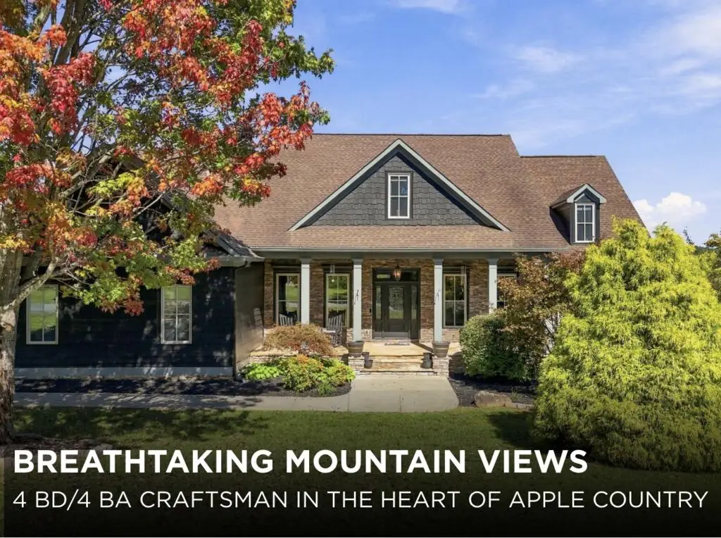 452 Ridgemont Drive, Ellijay, GA 30536 - #1