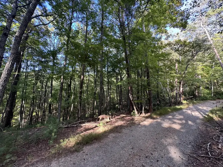 73-76 Peach Lane, Ellijay, GA 30536 - #3