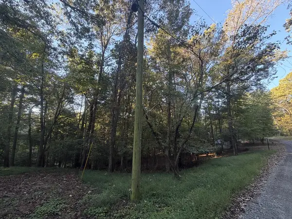 244 S Crestview Drive S, Ellijay, GA 30540