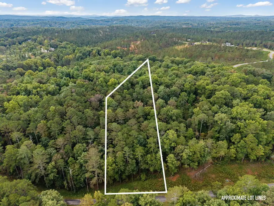 Lot 195R Pinnacle Dr, Ellijay, GA 30540 - #3