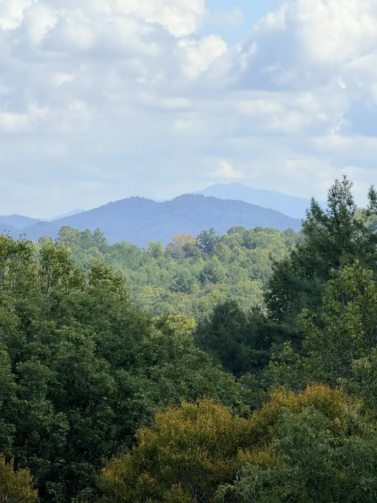 99 Old Possum Way, Murphy, NC 28906 - #3