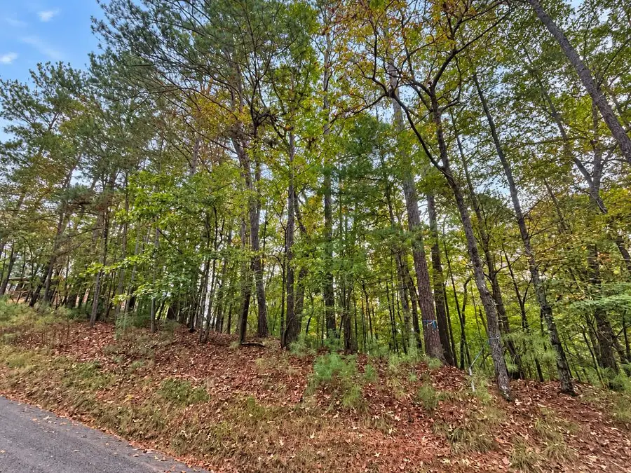 Lt 3026 Francis Way, Ellijay, GA 30540 - #2