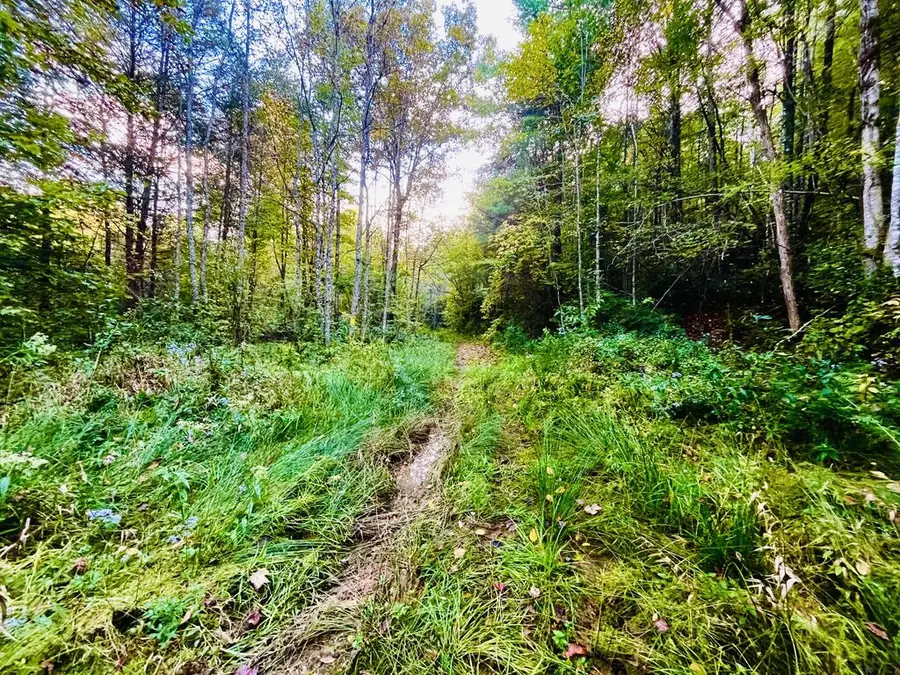 1885 Flea Mountain Road, Murphy, NC 28906 - #2