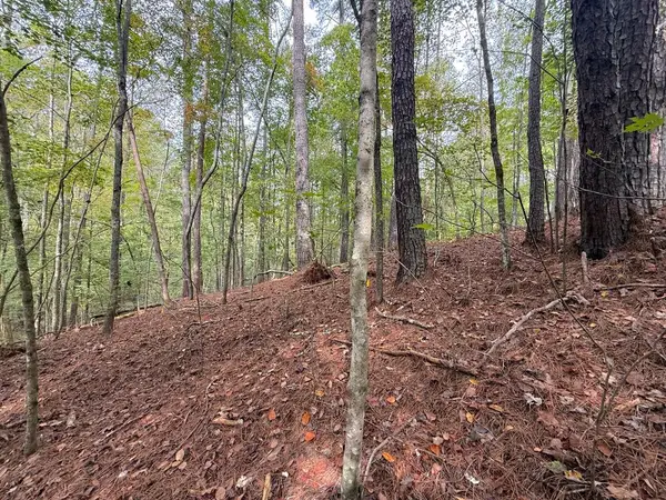 136 Guidon, Ellijay, GA 30540