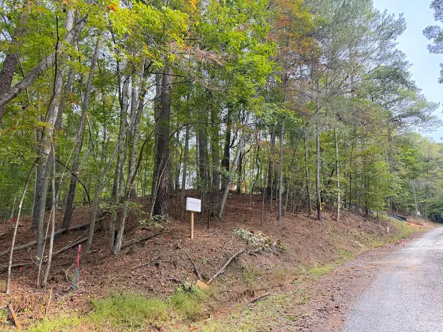 136 Guidon, Ellijay, GA 30540 - #2