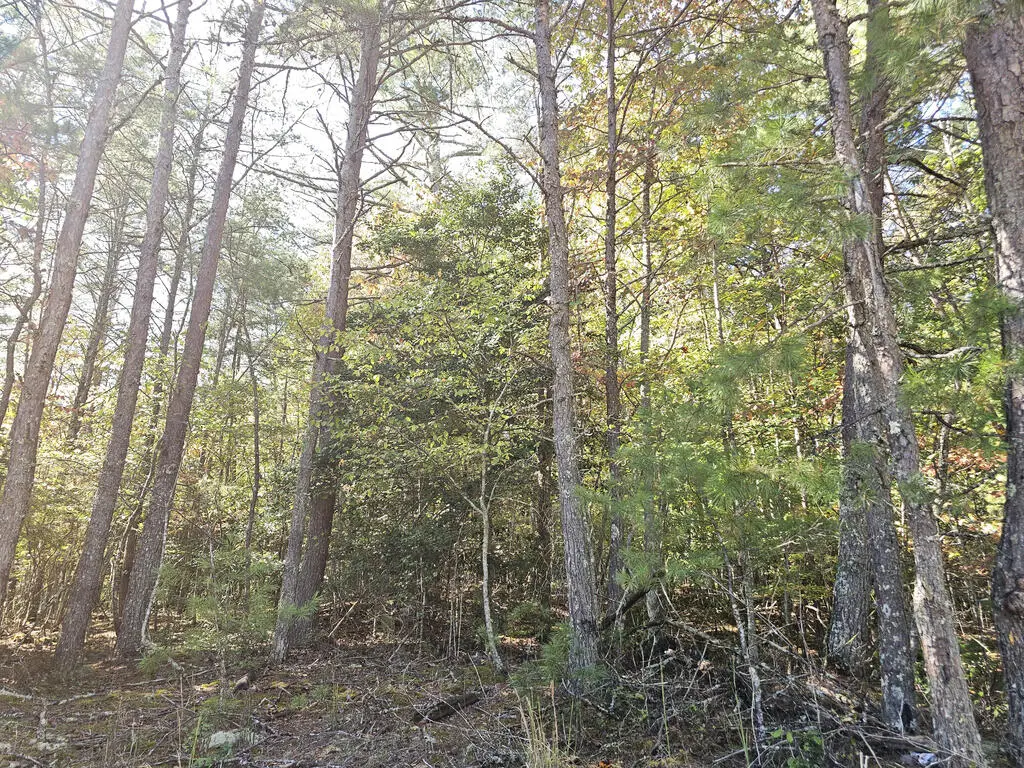 LOT 12 Deer Springs Road, Morganton, GA 30560 - #1