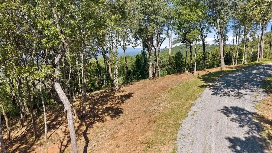 Lot 403 Double Oak Trl, Talking Rock, GA 30175 - #3