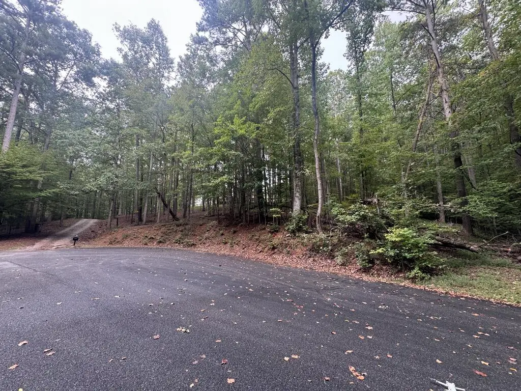 Lt45 Ayers Rock, Jasper, GA 30175 - #1