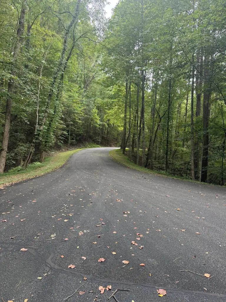 Lt45 Ayers Rock, Jasper, GA 30175 - #3