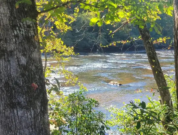 Lot 6 Riversound Village, Hayesville, NC 28904