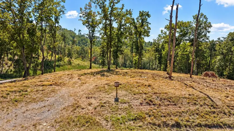 Lot 87 Twisted Oak Trail, Talking Rock, GA 30175 - #2