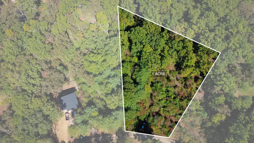 Lot 15 Pine Grove Drive, Blue Ridge, GA 30513 - #1