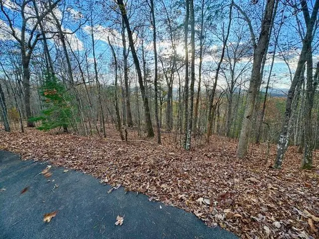 Lot 49 Mission Ridge, Hayesville, NC 28904 - #1