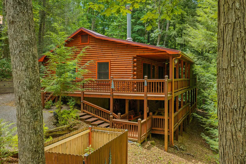 1480 Hidden Lake Drive, Cherry Log, GA 30522 - #1