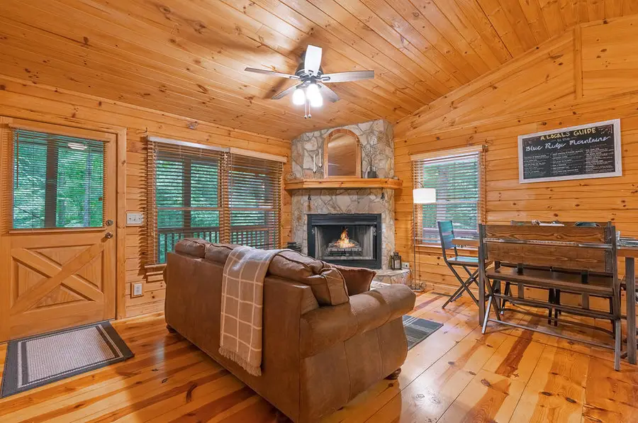 1480 Hidden Lake Drive, Cherry Log, GA 30522 - #3